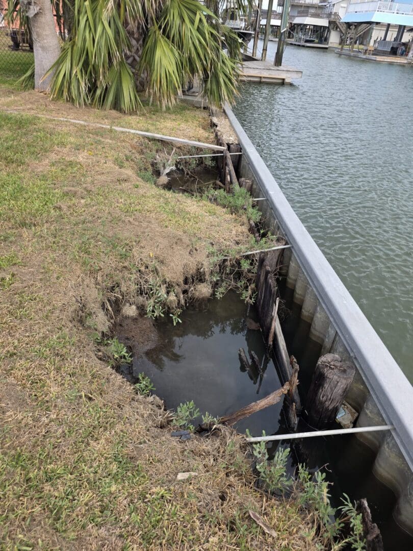Eroded shoreline with submerged pilings and seawall
